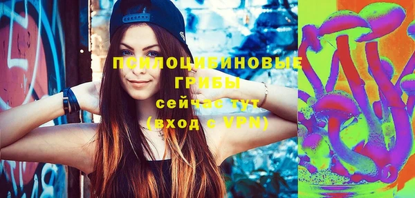 mdpv Арсеньев