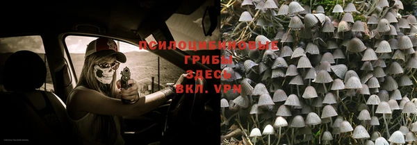 mdpv Арсеньев